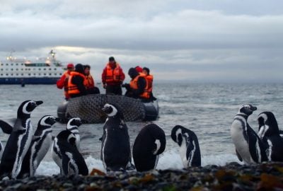 Croisière d’expédition Australis: Manchots et glaciers